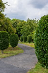Landscape specialist
